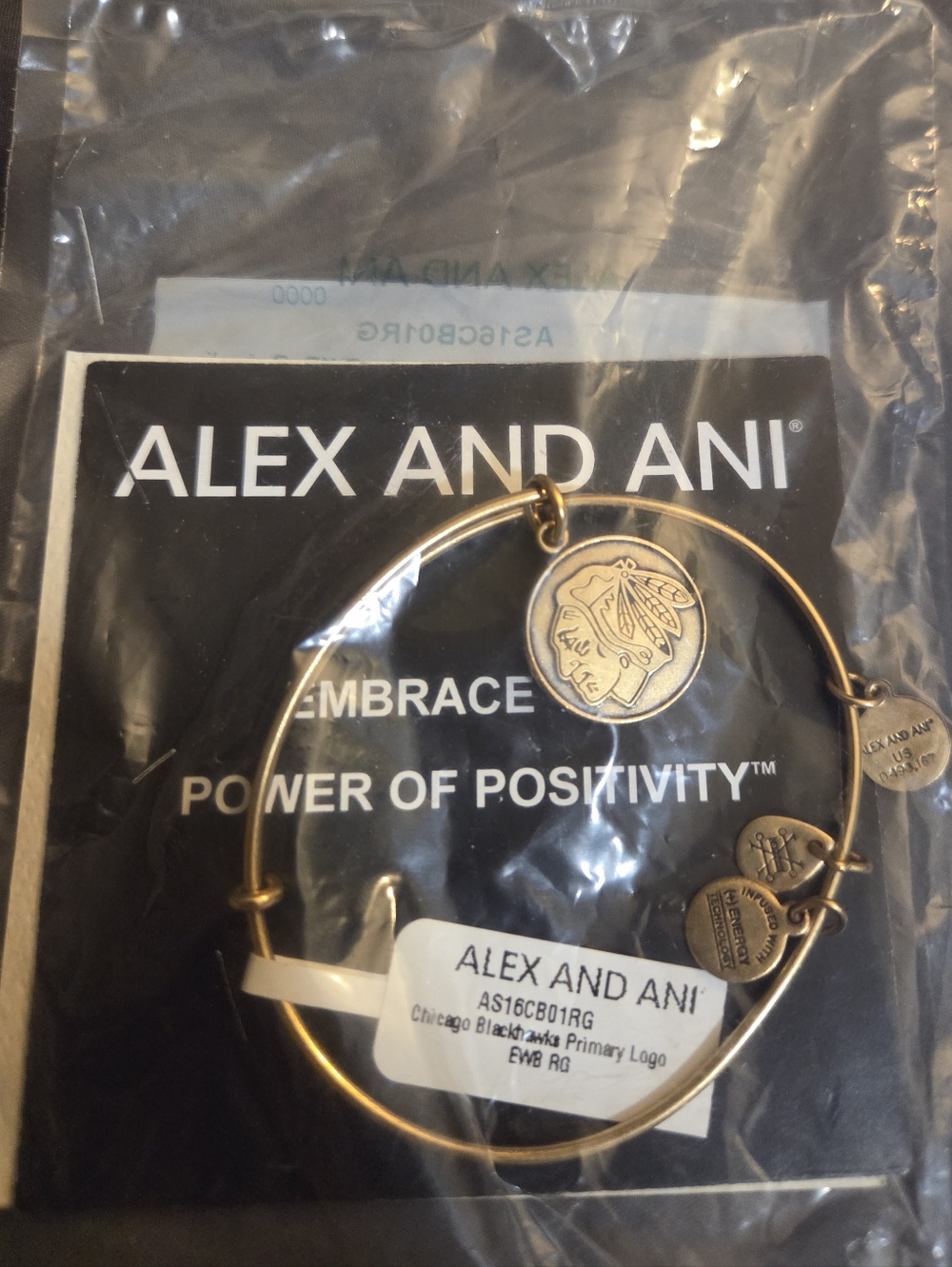 Alex and Ani Gold Charm Bangle with Chicago Blackhawks Primary Logo